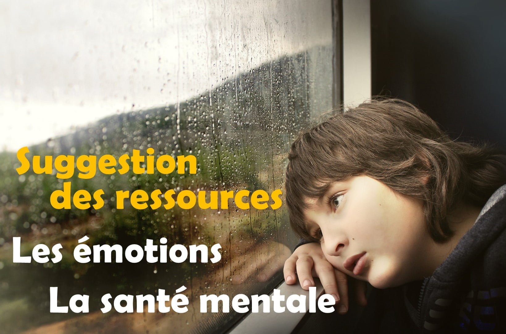Affiche Suggestion Ressources émotion Santé Mentale 2