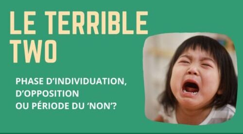 Le Terrible Two Phase D’individuation, D’opposition Ou Période Du ‘non’